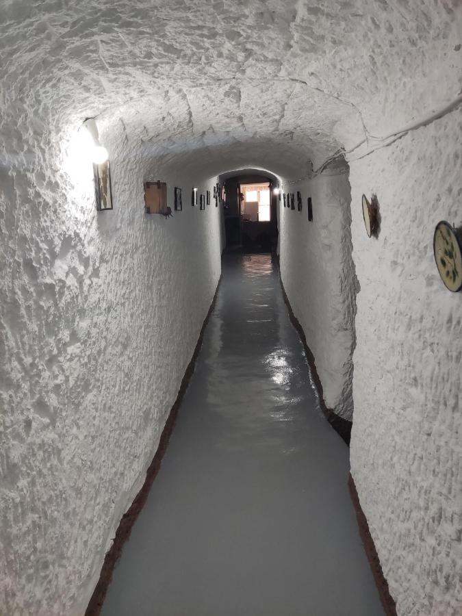Cueva Navarro Gorafe Exterior photo